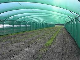 Shade Net For Greenhouse One Plastic