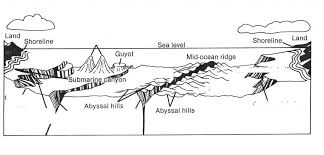 sea floor ocean 4 diagram quizlet