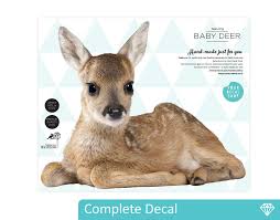 baby deer wall decal your decal