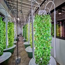 Vertical Farming With Tower Farms In