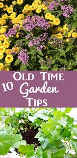 10 Old Fashioned Gardening Tips The
