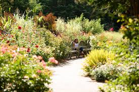brookside gardens visit montgomery