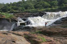Murchison Falls - Uganda's Wildlife and Waterfall Safari