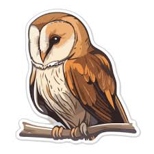 Barn Owl Png Vector Psd And Clipart