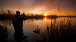 duck hunting background hunter hunt on