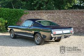 ford mustang gt fastback 1966 gallery