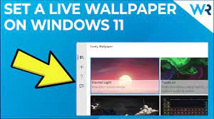 live wallpapers on your windows 11 desktop