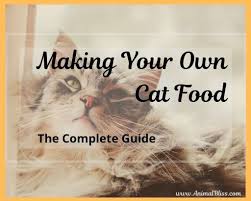 making your own cat food the complete