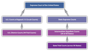 39 Exact California Court System Flow Chart