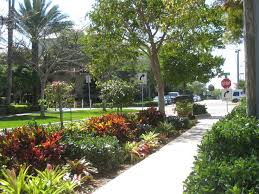 florida landscaping