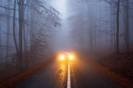 your guide to yellow fog lights car