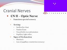 5 The Cranial Nerves 8 8 Clinical Assessment Ppt Video