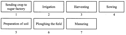 Arrange The Following Boxes In Proper Order To Make A Flow