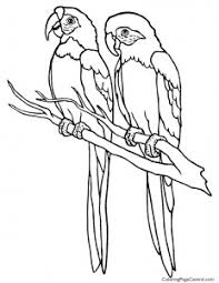 Our macaw coloring pages in this category are 100% free to print, and we'll never charge you for using, downloading, sending, or sharing them. Macaw Coloring Page Central