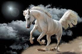 horse white fantasy white horse