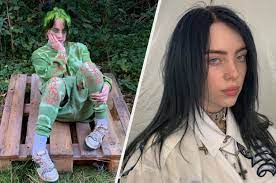 Billie Eilish Just Addressed The Rumors About Her Having A Sex Tape On The  Internet