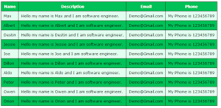 style gridview and pager with custom