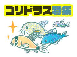 コリドラス特集！人気の種類から珍しい種類まで、かわいい20種をご紹介！ | 熱帯魚・金魚の水槽・アクアリウム情報メディアサイト「トロピカ」