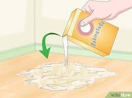 how to clean cat urine with pictures
