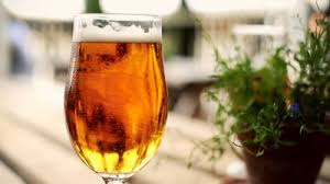 Image result for beer drinking advantages and disadvantages free images