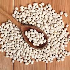 navy beans nutrition benefits recipes