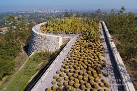 Photo Cactus Garden Getty Center Los