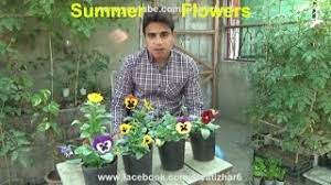 summer season flowers list por