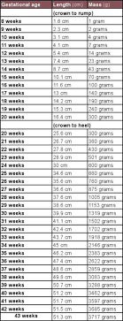 Download Unborn Baby Growth Chart In Excel For Free