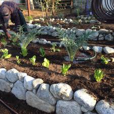 75 raised garden bed front yard ideas