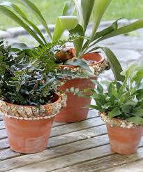 how to decorate pots with sea s