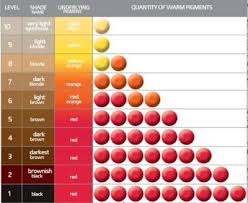 Chart Of Levels And Underlying Pigment In 2019 Hair Color