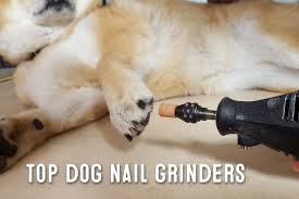 dog nail grinder what are dog nail