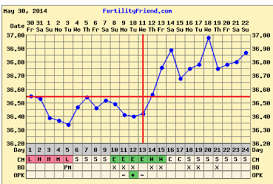 Bbt Chart 16 Months Of Ttc Getting Pregnant Babycenter