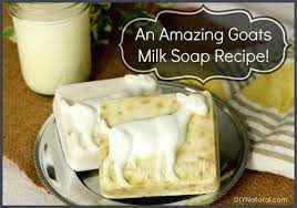 goat milk soap recipe this also works