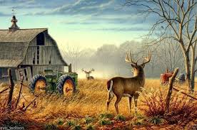 Deer And Turkey Wall Murals Google