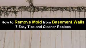 remove mold from basement walls