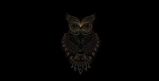 wallpaper golden owl bird pattern art