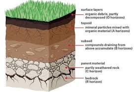 Soil Profile Class 7 Science Soil