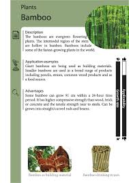 Inspirational Card Describing A Grow Technology Bamboo And