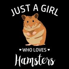 hamster gifts uni baseball t shirt