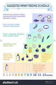 Detailed Information On Baby Food Infographic Babys First