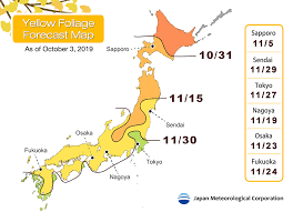 Autumn Reds And Yellows Japans 2019 Foliage Forecast