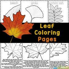 free fall leaf coloring pages with