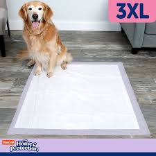 3xl odor eliminating dog pads
