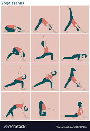 various yoga asanas vector image