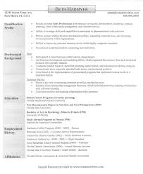 Sales Job Resume   Free Resume Example And Writing Download