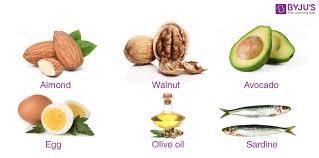 importance of fats types of fats