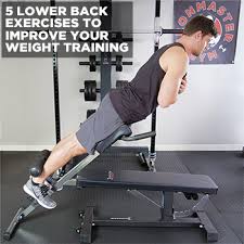 5 lower back exercises to improve your