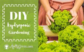 Diy Hydroponic Gardening Molly Green