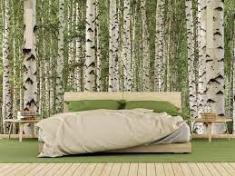 Birch Tree Forest Wall Mural About Murals